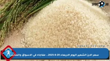 سعر الأرز الشعير اليوم الأربعاء 20-8-2025.. مفاجأة في الأسواق والمتاجر